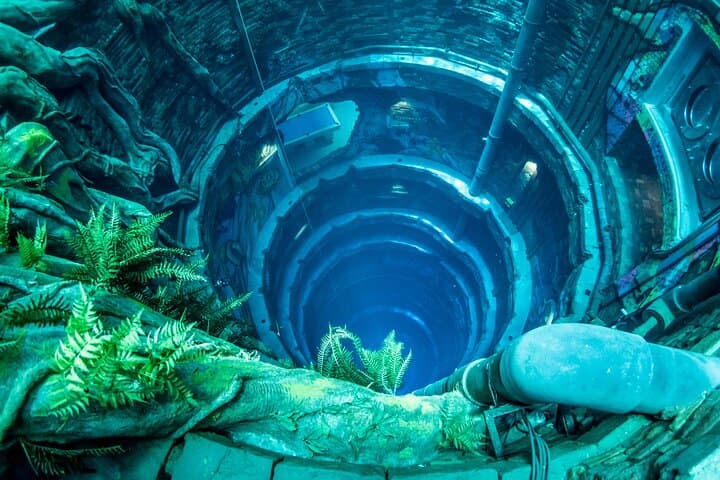 Dubai Deep Dive Experience