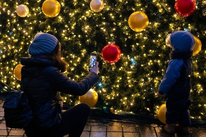 Wiener Weihnachtsmarkt-Zaubertour