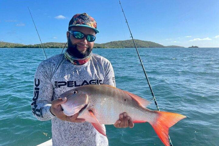 Heldags fiskecharter i østkysten, Puerto Rico