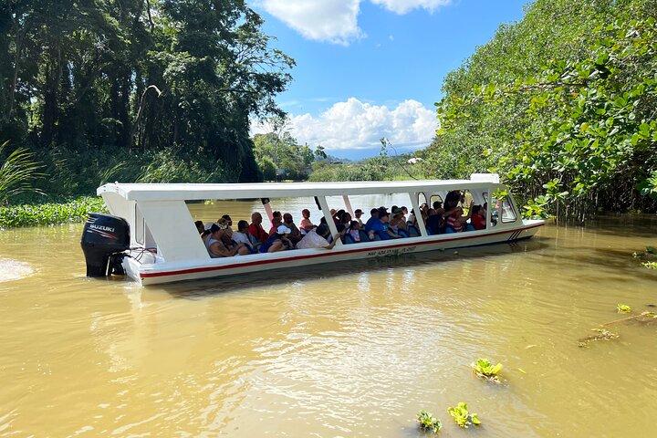 Heldags privat Tortuguero-kanal och Zipline-äventyr i Limon