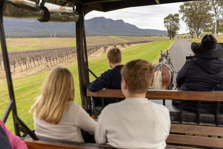 Vin de 3 heures et récolte du Hunter Horse Tour à Pokolbin