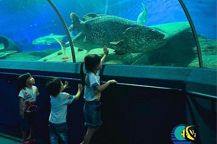 パタヤ アンダーウォーター ワールド入場券