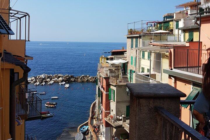 Descubre Cinque Terre : Excursión privada de un día desde Roma
