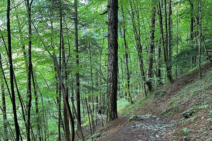 Private hiking tour to Olympus mountain