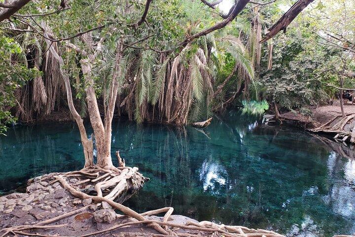 Safari de 1 día a las cascadas Materuni y las aguas termales de Chemka