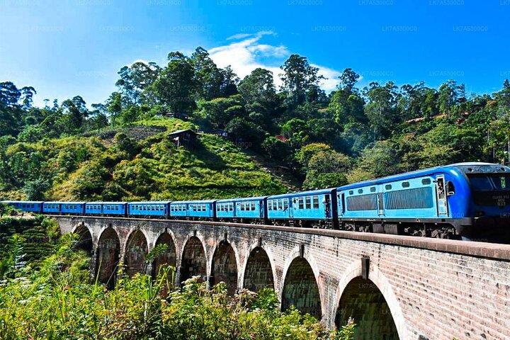 エラのプライベート日帰り旅行（列車乗車＆紅茶工場付き）-オールインクルーシブ