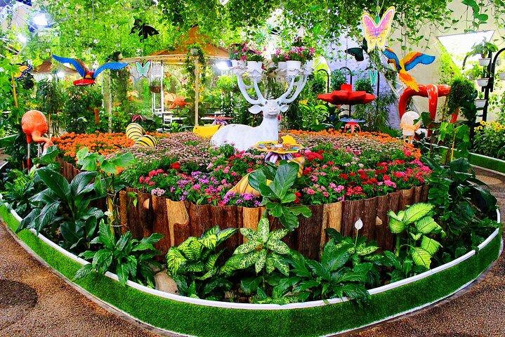 Dubai Miracle Garden and Butterfly Garden Tickets