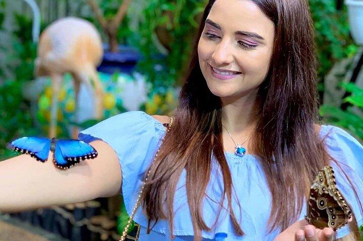 Billetter til Dubai Butterfly Garden
