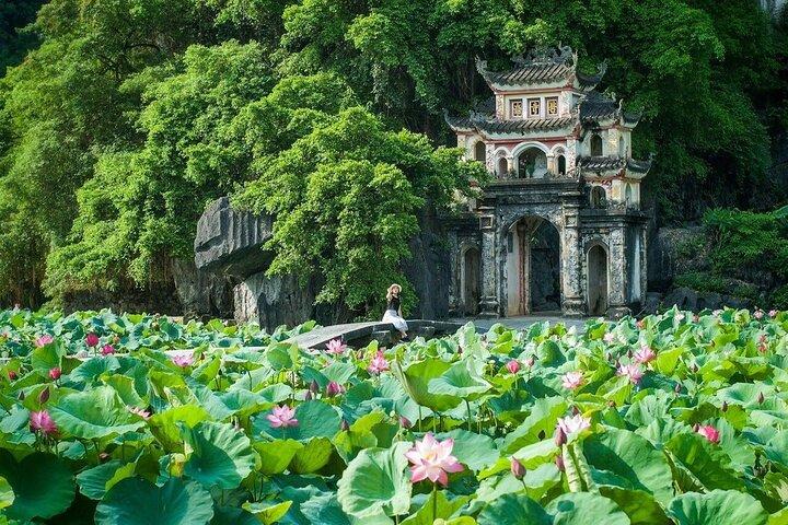 Hoa Lu och Tam Coc lyxdagstur