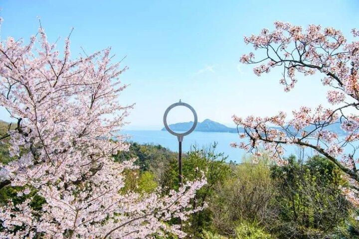 クルーズと美山村を巡る天橋立＆伊根湾日帰りツアー