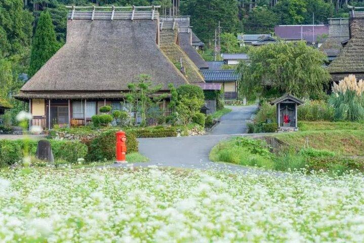 クルーズと美山村を巡る天橋立＆伊根湾日帰りツアー