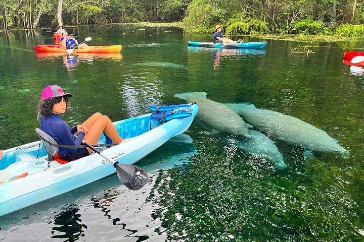 Noleggio kayak Silver Springs: la migliore avventura in Florida