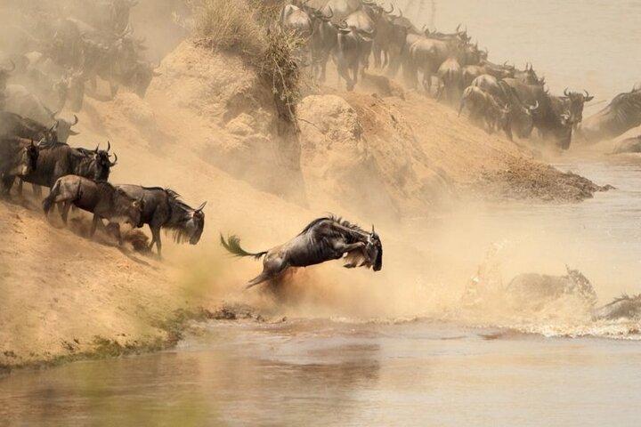 7-Day Private Tour in Uganda and Kenya Safari
