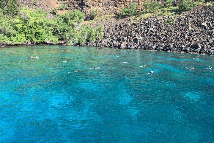 Snorkeling sulla barriera corallina del capitano Cook nella baia di Kealakekua