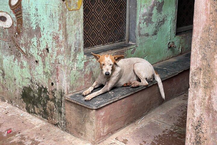 Private Dharavi Slum Tour in Mumbai with Local Guide