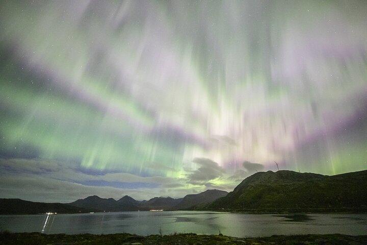 Aurora Chase de Tromso con fotos