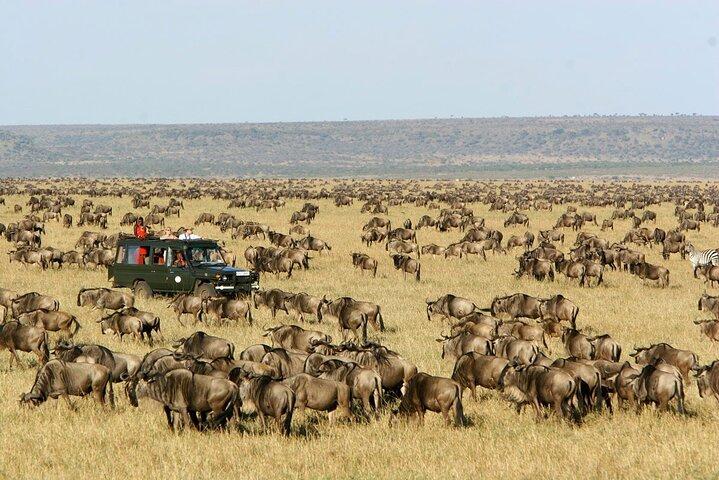 Safari de groupe économique de 6 jours au Kenya
