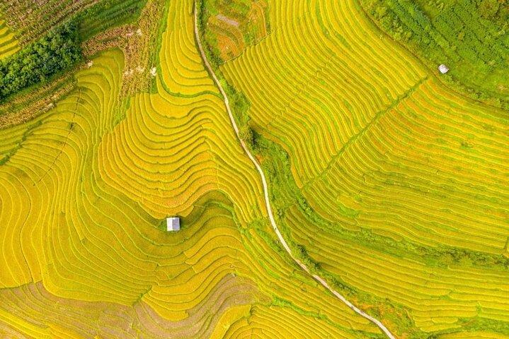 Afgelegen Sapa-tour op het platteland van Nam Cang - Nam Nhiu-dorpen