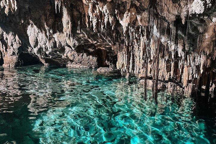 Zapote Cenotes Adventure Tour Parco preistorico