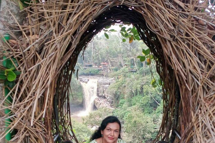 Bali Ubud Driver