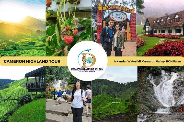 Private Cameron Highlands Nature Tour van een hele dag vanuit Kuala Lumpur