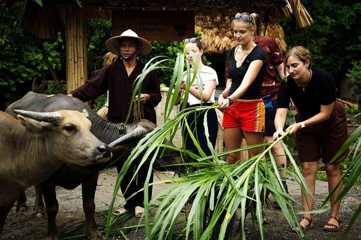 Tour ecologico di 2 giorni Grotta di Mua e Grotta di Buffalo Da Hanoi a Trang An