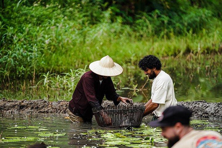 Ninh Binh ekogruppstur - Buffelridning, risplantering, fiske