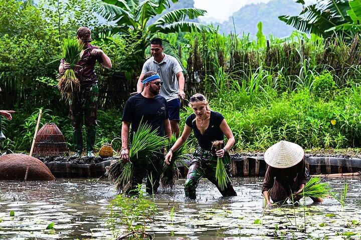 Ninh Binh ekogruppstur - Buffelridning, risplantering, fiske