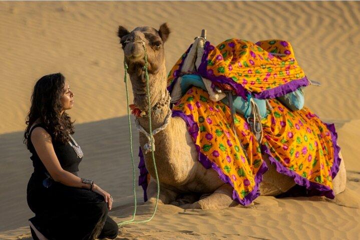 La experiencia de miles de millones de estrellas de Peep con Desert & Camel Safari