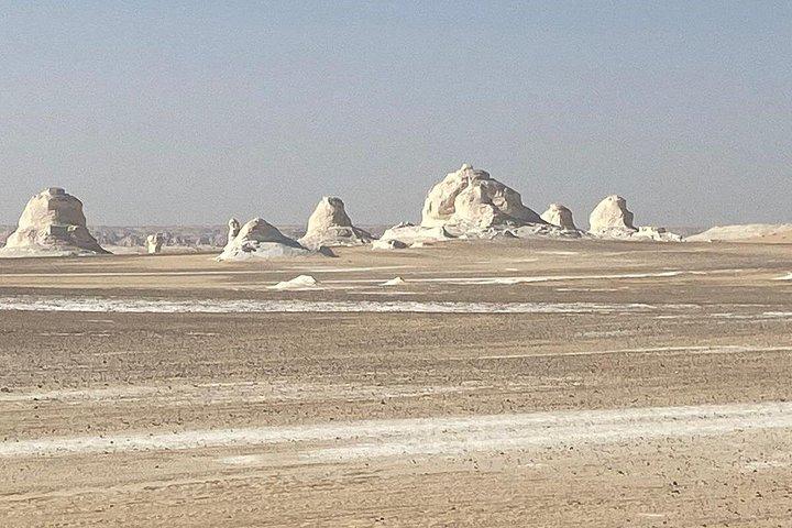 カイロ発、ユニークな白砂漠を探索する 2 日間