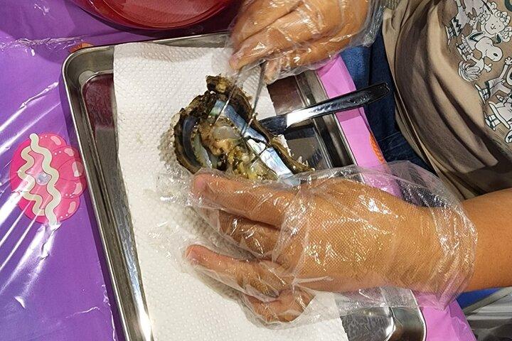 Experimente a extração de pérolas de ostras Akoya　osaka