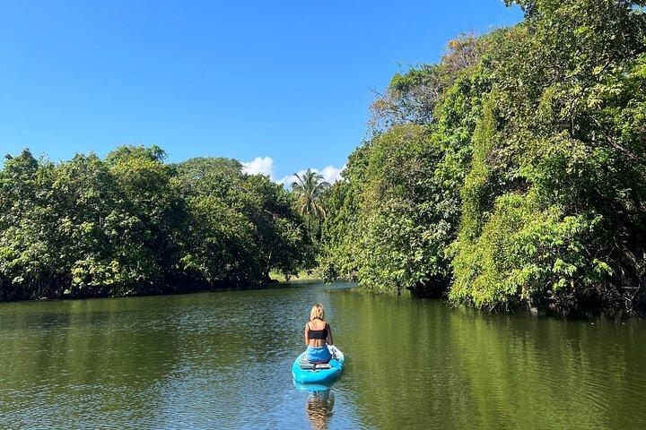 Paddleboarding og meditations wellness-oplevelse i Las Isletas