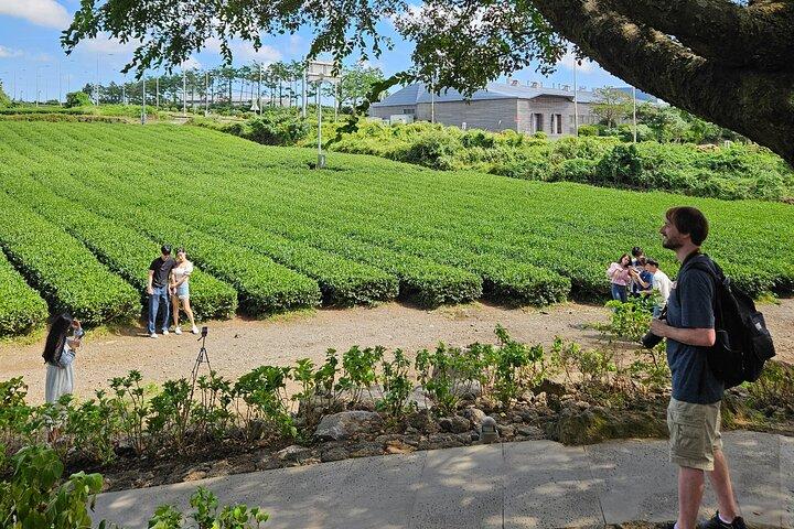 Privérondleiding met gids op het eiland Jeju