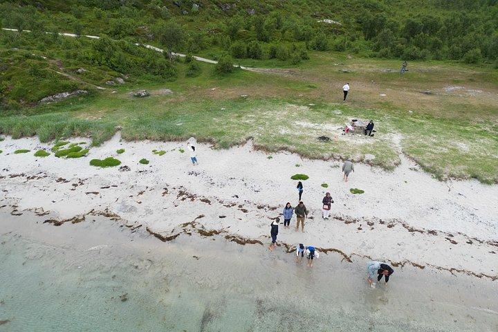 トロムソとソマロイ - 地元の人とのプライベート海岸ツアー