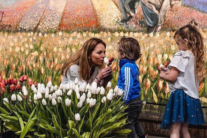 アムステルダムからチューリップの花束を摘むチューリップ畑ツアー
