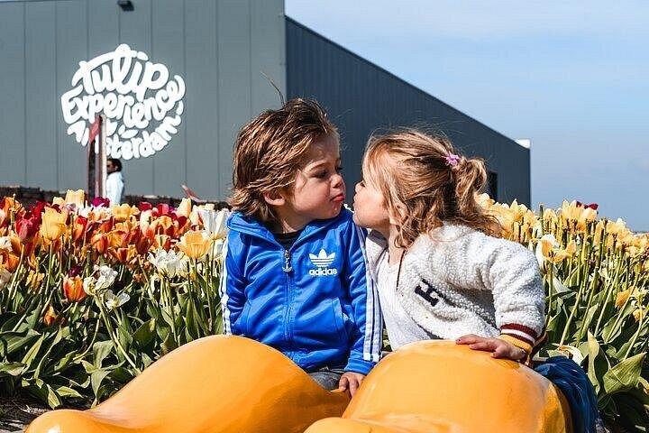 アムステルダムからチューリップの花束を摘むチューリップ畑ツアー
