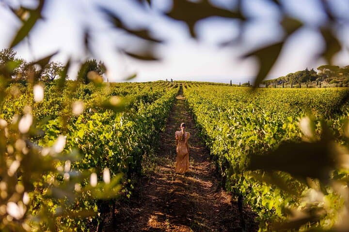 Countryside Wine Tasting with Local Family & Food Pairing