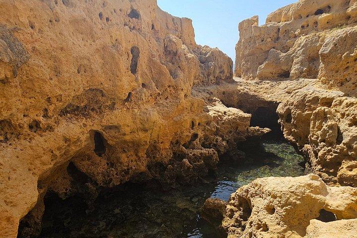 ファロ発ベナジル洞窟ツアー - アルガルヴェ海岸を発見