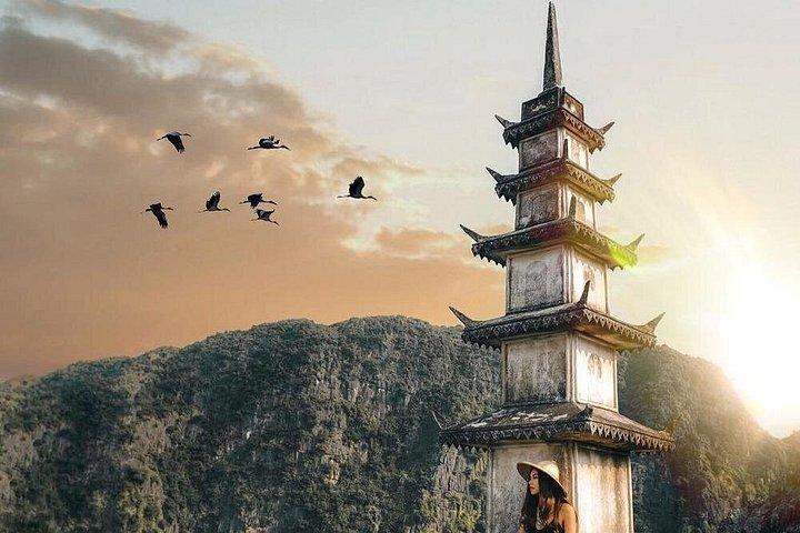 Visite privée d'une journée à Ninh Binh Départ de Hanoï