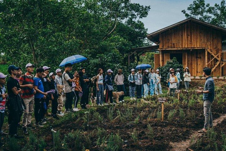 Scented Candle Workshop in Twin Beans Farm Da Lat
