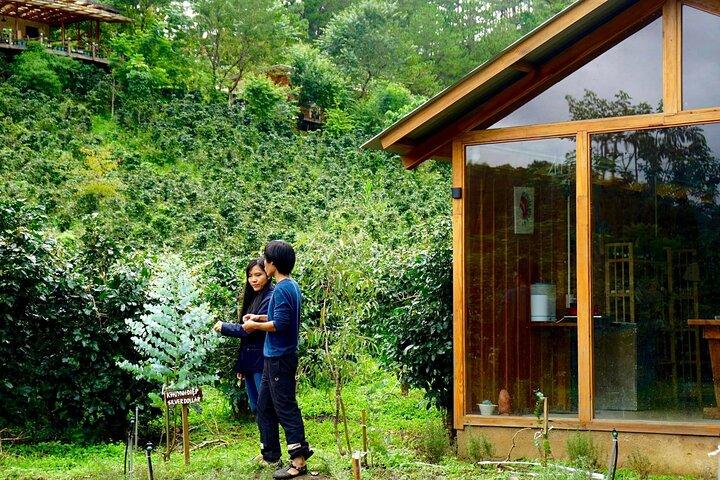 Scented Candle Workshop in Twin Beans Farm Da Lat