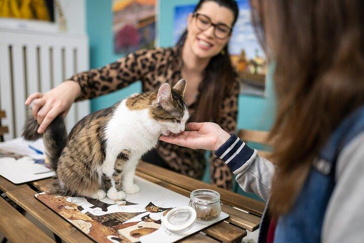 Bilhete de entrada para o Museu do Gato em Budapeste