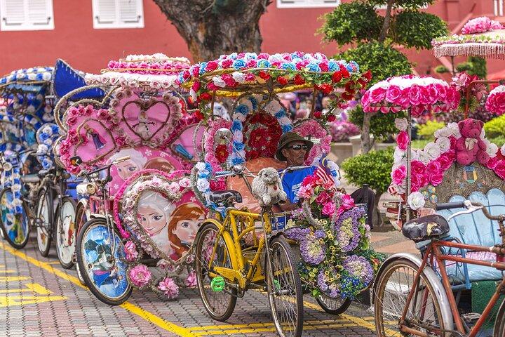 Fra Singapore privat dagstur til Malacca