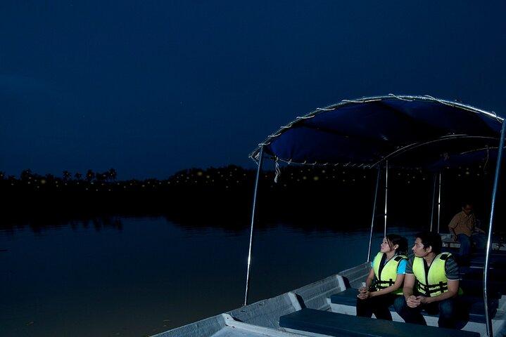 Private Tour Kuala Selangor Firefly Blinkar & Silver Leaf Monkey
