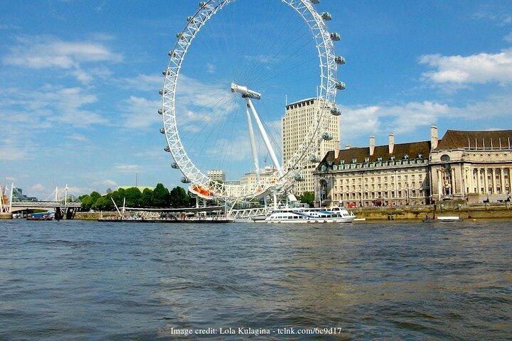 家族向けロイヤル ロンドン : プライベート 1 日ハイライト ツアー