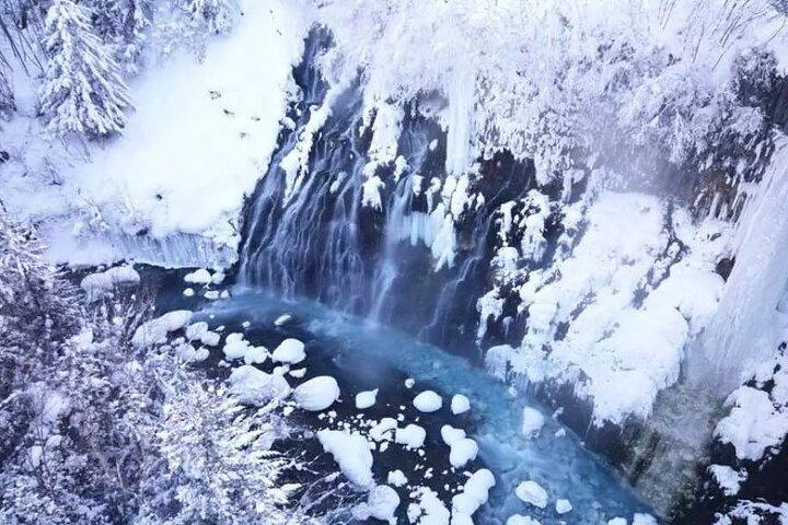 Hokkaido-dagstur fra Sapporo: Asahiyama Zoo, Blue Pond Japan