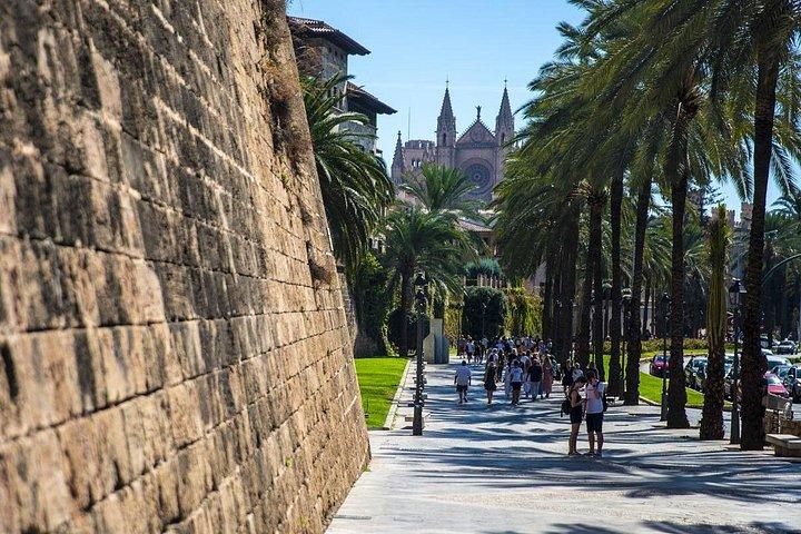 Excursion privée en bord de mer à Valldemossa et à Palma de Majorque