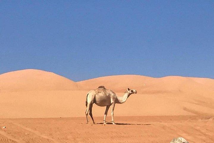 Private Full Day Wadi Bani Khalid With Watching Desert Sunset