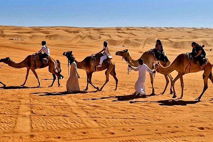 アクティビティ付きの7〜8時間のプライベート砂漠アドベンチャー旅行
