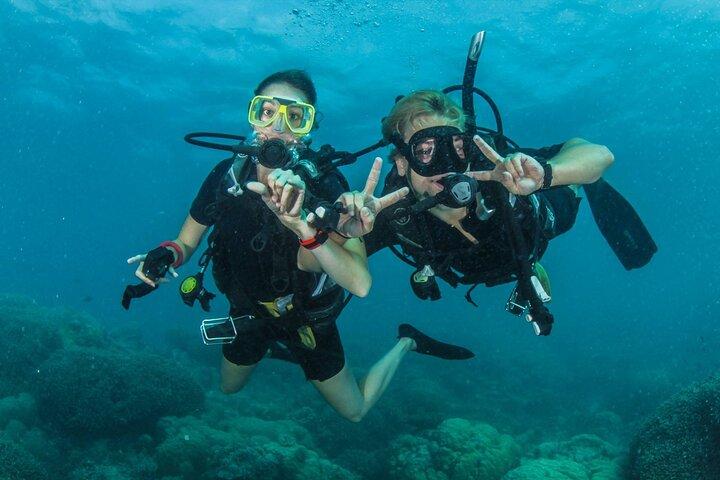 Essayez l'expérience de plongée sous-marine à Fujairah
